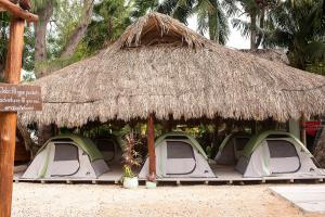 un grupo de tiendas de campaña bajo una cabaña de paja en Mapache Hostel & Camping en Holbox Island