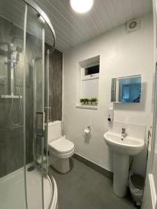 ein Bad mit einem WC, einem Waschbecken und einer Dusche in der Unterkunft Cold Harbour Entire 3 Bed House - Free Parking in Croydon