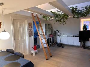 a room with a ladder in a room at Aarhus lejlighed med udsigt in Aarhus