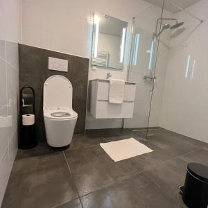 ein Bad mit einem WC und einer Dusche in der Unterkunft The Residence Apeldoorn in Apeldoorn