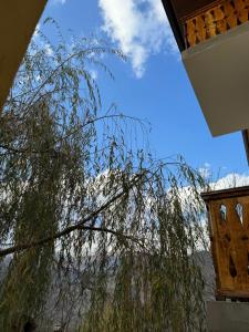 Verin Tun في ديليجان: شجرة صفصاف الباكية مع جبل في الخلفية