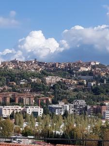 a view of a city with buildings on a hill at Appartamento Belvedere in Perugia