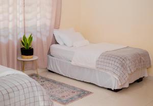 a bedroom with two beds and a potted plant at Davi Bliss in Oshakati