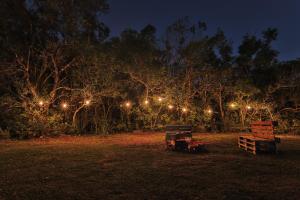 a group of lights in a field at night at Pousada Refúgio Araçá in Morro Redondo