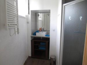 une salle de bain avec un lavabo et un miroir dans l'établissement Ti an traõn le petit gîte en cœur de Bretagne, à Carhaix-Plouguer