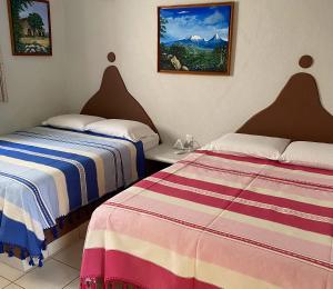 Postel nebo postele na pokoji v ubytování Zandoyo Bed & Breakfast