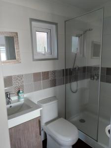 a bathroom with a toilet and a shower and a sink at Lodge Puerto Koupo in Carahuo