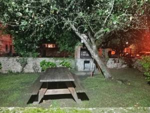 Zahrada ubytování Casa Pelayo 2