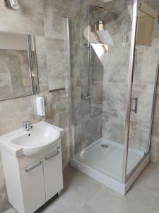 a bathroom with a shower and a sink and a toilet at Apartamenty Starosądeckie in Stary Sącz