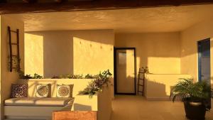 斯島的住宿－Sunsteps casa holbox，客厅配有沙发,墙上挂有植物