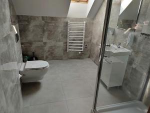a bathroom with a shower and a toilet and a sink at Apartamenty Starosądeckie in Stary Sącz