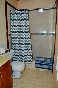bagno con tenda per la doccia e servizi igienici di The Still Beach Resort-Room 5 a Soufriere