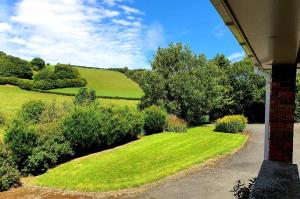 a view of a yard with grass and trees at Idyllic 2 Bedroom Self-Contained UpsideDown Annexe in Llandrindod Wells