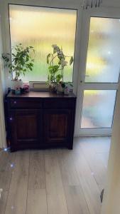 a room with two windows and a table with potted plants at Stay in Woking with Chidi in Horsell