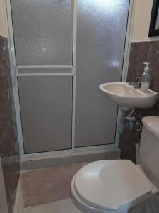 een badkamer met een douche, een toilet en een wastafel bij cabañas Arcoíris del lago Nº 5 in Pasto