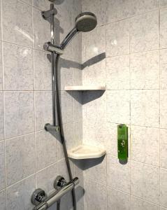 d'une douche avec un lavabo et un pommeau de douche. dans l'établissement Apartment in Chessy very near Disneyland, à Chessy