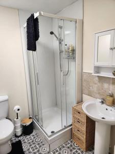 a bathroom with a shower and a toilet and a sink at West End Dream in Dundee
