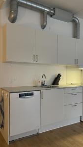 A cozinha ou kitchenette de ApartmentInCopenhagen Apartment 1573