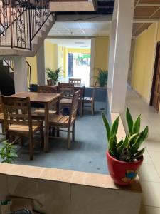 Χώρος καθιστικού στο LA DOLCE VITA FRANCOPHONE +6 φωτογραφίες