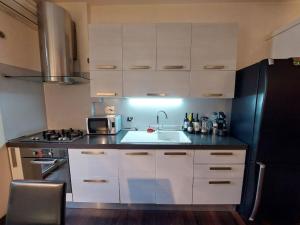 una cucina con un lavello e un frigorifero nero di Your Happy Home a Roma Altre 14 foto