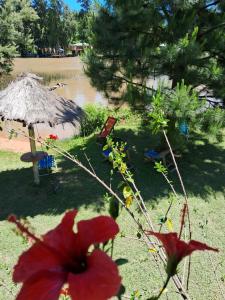 Dique LujánにあるCabaña “Juancho”(Canal Arias,Tigre)のギャラリーの写真