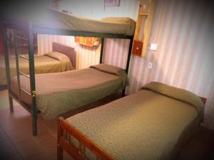Двухъярусная кровать или двухъярусные кровати в номере "C" SPACIO HOSTEL - Habitación Compartida por separado para femenino o masculino-