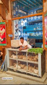 a woman is standing behind a table with chickens at Hostel riad Dar lala sofia in Fez