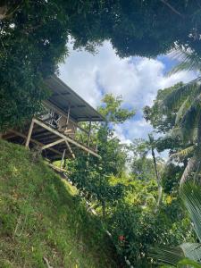 Um jardim no exterior de Ponci’s Gate to Gaia Holistic Center