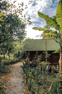 un petit bâtiment au milieu d'une forêt dans l'établissement Jardin del sol Ecoglamping, à San José de Suaita