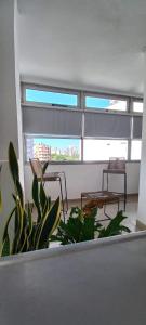 a living room with two chairs and a plant at Departamento sobre la costanera in Corrientes