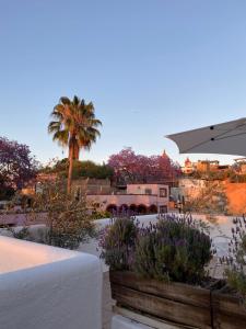 uitzicht op een tuin met een palmboom en een vrachtwagen bij Casa Árbol Hotel in San Miguel de Allende