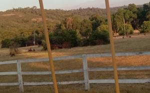 a fence in front of a field with trees at Near Train Station Transport Hub with Bicycle Locker in Perth