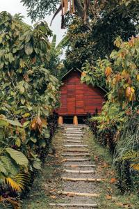 un chemin en pierre menant à un petit bâtiment rouge dans l'établissement Jardin del sol Ecoglamping, à San José de Suaita