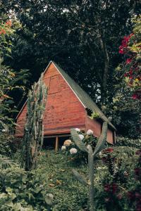 una pequeña casa roja con un cactus delante en Jardin del sol Ecoglamping, en San José de Suaita