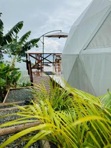 un parapluie blanc assis à côté de certaines plantes dans l'établissement Eco Glamping Cordillera, à Buenavista