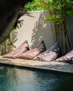 Zahrada ubytování Hola Seminyak