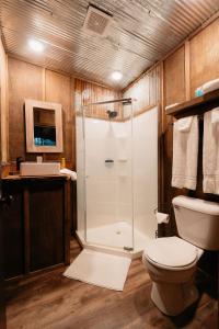 a bathroom with a shower and a toilet at Treehouse Cozy Glamping Site in Branson