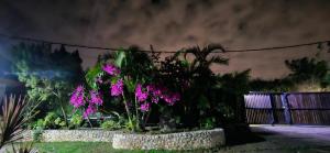 um jardim com flores roxas e palmeiras à noite em Villa Anjing em Nusa Dua