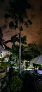 un grupo de palmeras en un complejo por la noche en Villa Anjing en Nusa Dua