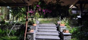 a set of stairs with potted plants in a garden at Villa Anjing in Nusa Dua