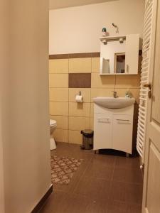 a bathroom with a sink and a toilet at Török Kulcsosház in Băile Homorod
