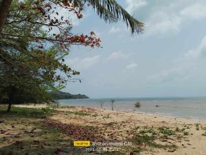 a beach with trees and the ocean in the background at 2 one bedroom houses 400 meters from the deach in Amphoe Koksamui