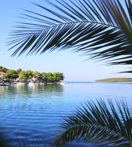 a view of a body of water with a palm tree at Apartments Slavica Trogir in Trogir