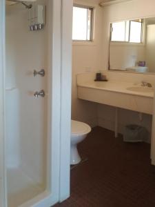 ein Badezimmer mit einem Waschbecken, einem WC und einem Spiegel in der Unterkunft Ironbark Inn in Barcaldine