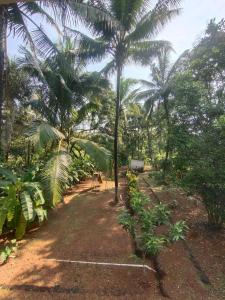 a dirt field with palm trees in a forest at A Latent Farm stay in Gimvi