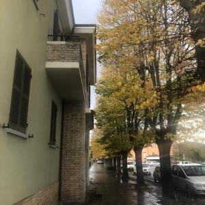 un callejón con árboles y coches estacionados en una calle en nel cuore della città, en Urbania