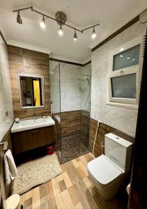 カイロにあるRiverfront Apartment 1のトイレ、シャワー、洗面台を備えたバスルーム