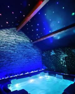 eine Badewanne in einem Zimmer mit Aquarium in der Unterkunft Spa&House91 in Mennecy