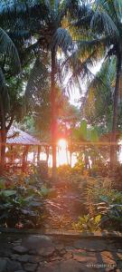 a view of a beach with palm trees and the sunset at Hostel La Gloria in Ometepe