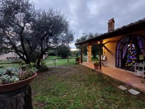 Un árbol de Navidad está al lado de un edificio en Agriturismo Bio Pian Dei Casali en Saturnia